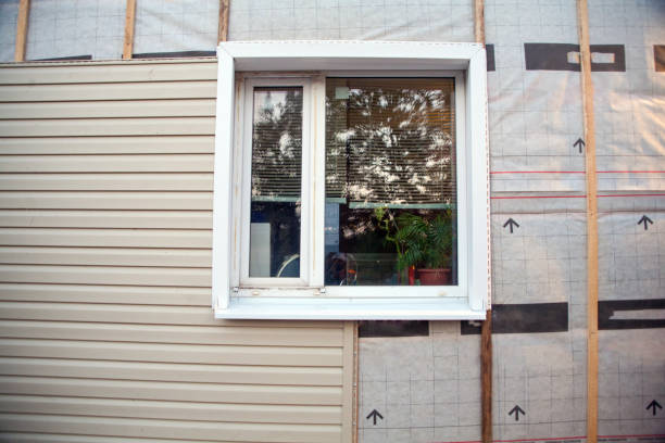 Best Storm Damage Siding Repair  in Norris City, IL