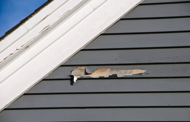 Best Wood Siding Installation  in Norris City, IL